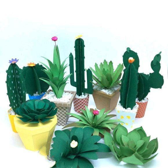 Cactus