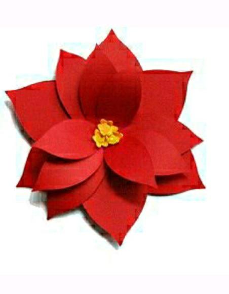 Flores Natalinas