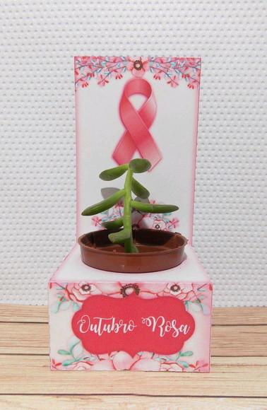 Porta Suculenta Outubro Rosa