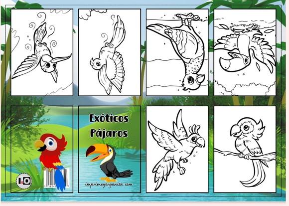 Mini Livro Passaros em pdf