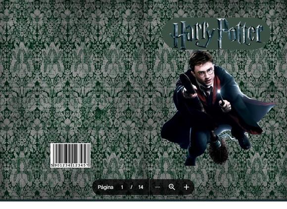 Revista de Colorir Harry Potter em Pdf