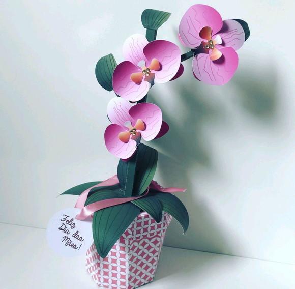 Cx Flor Orquídea Rosa