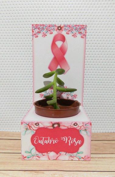 Caixa Porta Suculenta Outubro Rosa