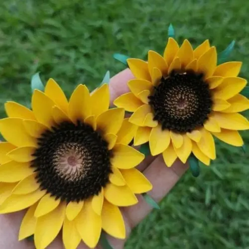 Flor Girassol Realista