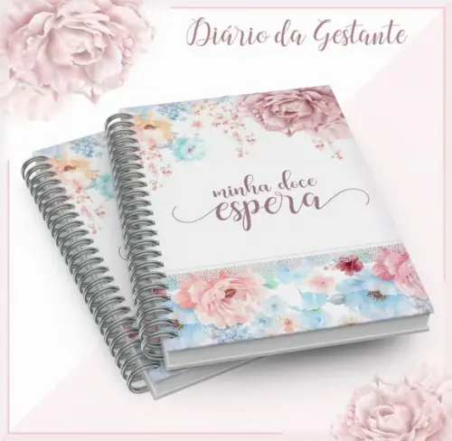 Diário da Gestante 2530
