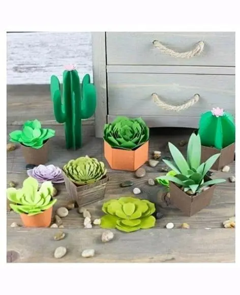 Plantas e Suculentas