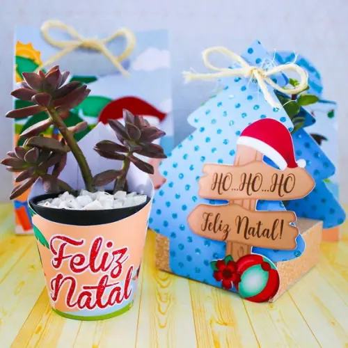 Porta Suculenta de Natal