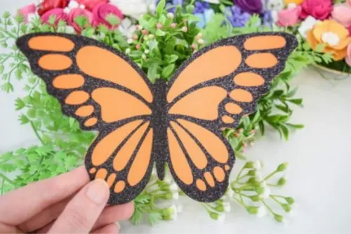 Borboleta 2479