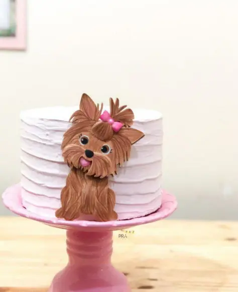 Topo Cachorrinho