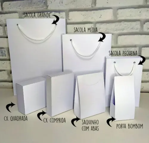 Kit Sacolas c/ Cx