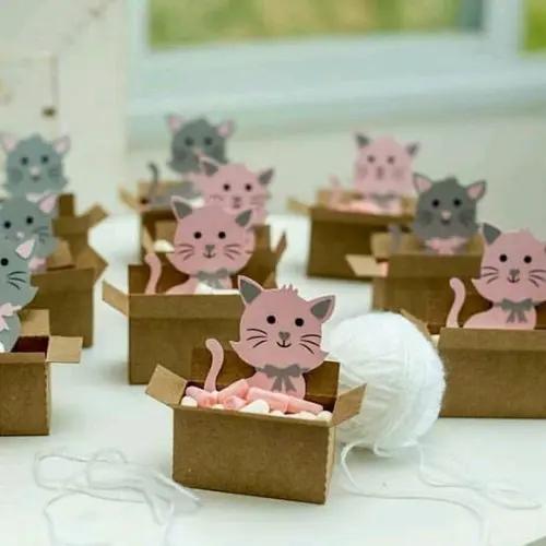 Gato na Cx