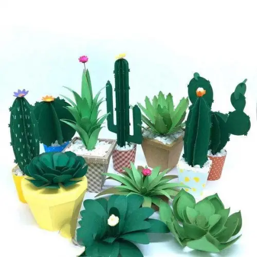 Cactus