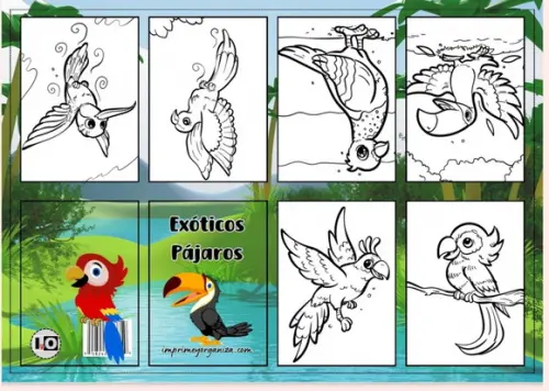 Mini Livro Passaros em pdf