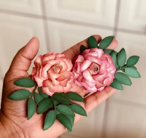 Rosa Aurora e Marfim sem as Folha