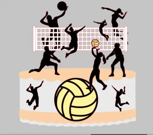 Topo de Bolo Volei 3