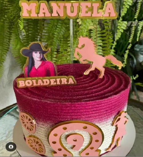 Topo de Bolo Ana Castela 3