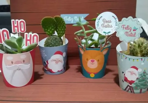 Capa de Natal para Suculentas