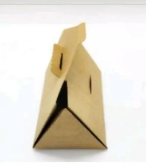 Cx Maleta Triangular