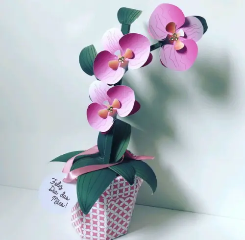 Cx Flor Orquídea Rosa