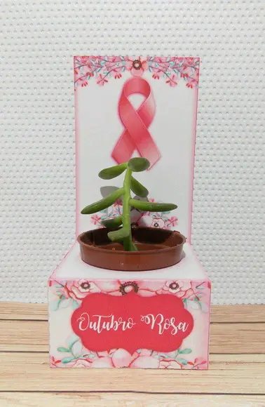 Caixa Porta Suculenta Outubro Rosa