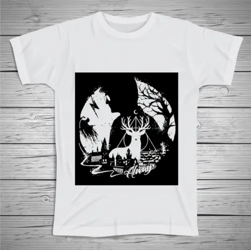 Camiseta Harry Potter
