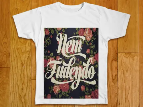 Camiseta Divertida