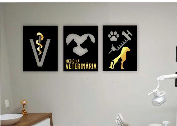 Quadro Medicina Veterinaria Trio de Quadros