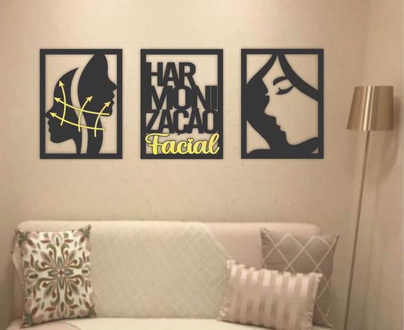 Quadro Harmonização Facial