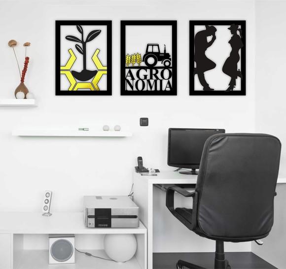Quadro Agronomia Trio de Quadros