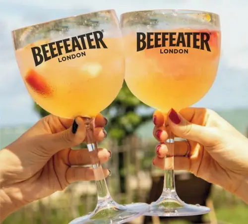 Taça Gin Personalizada Acrilica