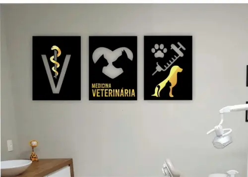 Quadro Medicina Veterinaria Trio de Quadros
