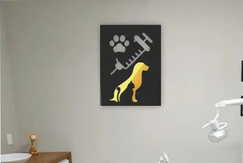 Quadro Medicina Veterinaria 50x40cm
