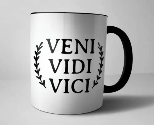 Caneca Veni Vidi Vici
