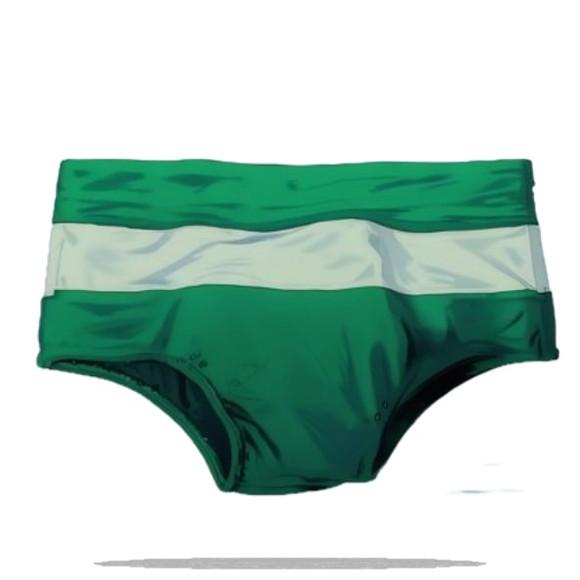 Molde Modelagem Sunga Praia Adulto Listra do P ao Gg