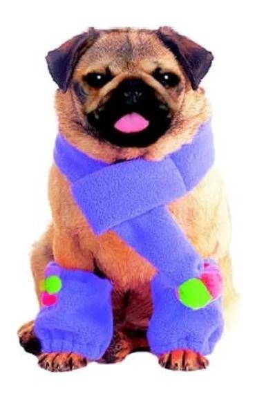 Molde Pet Roupinha Cachorro Cão Jaqueta - Pdf