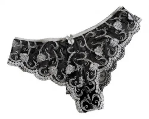 Molde de Calcinha Tanga de Renda Pp ao Eg Envio Por E-mail