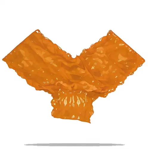 Molde Digital de Calcinha de Renda do Pp ao G