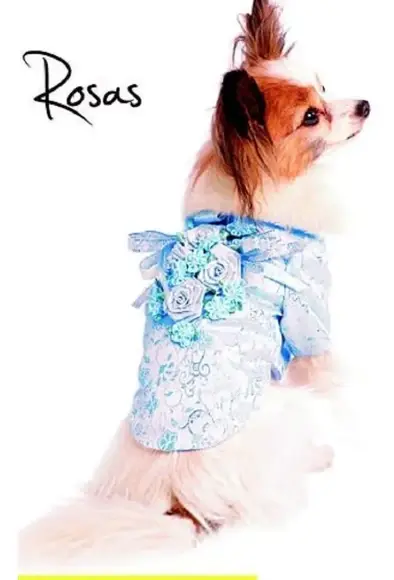 Molde Pet Roupa Para Cachorro Cão Casaco Com Rosas - Pdf