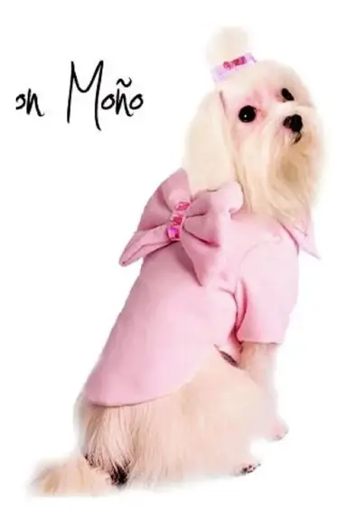 Molde Pet Cachorro Cão Casaco Com Laço Roupinha - Pdf