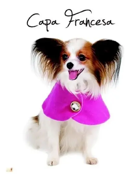 Molde Pet Roupinha Linda Capa Francesa - Pdf