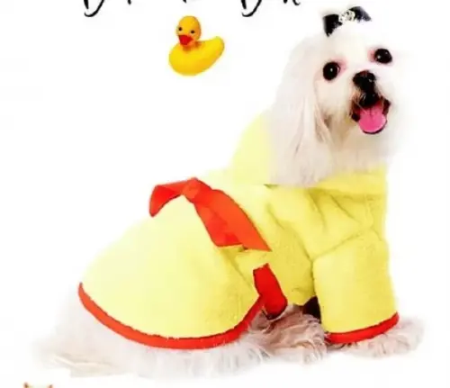 Molde Pet Roupinha Para Cachorro Cão Saída De Banho- Pdf