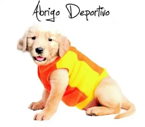 Molde Roupinha Pet Cachorro Cão Casaco Esportivo - Pdf