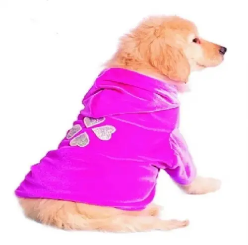 Molde Roupinha Pet Cachorro Blusa Com Gorro - Pdf