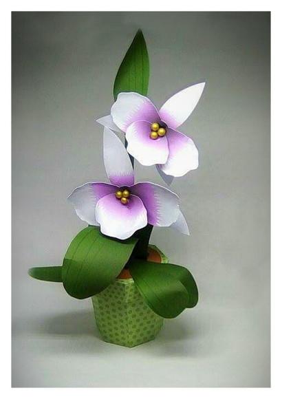 Arquivo de Corte Caixa Orquídea Studio