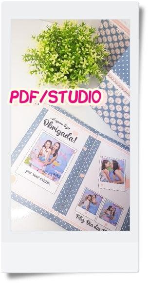 Arquivo Album de Figurinhas Dia das Maes *Studio/PDF