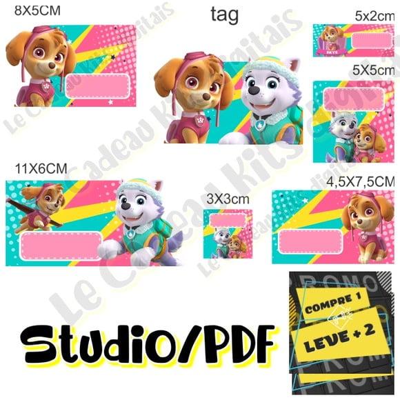 Arquivo Etiqueta Escolar Skye e Everest Patrulha Canina Rosa