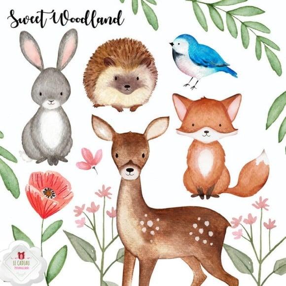 Kit Digital Animais da Floresta