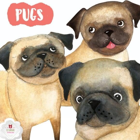 Kit Digital Pugs