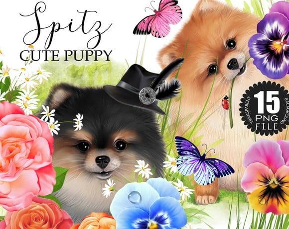 Kit Digital Spitz