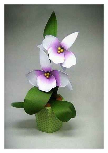 Arquivo de Corte Caixa Orquídea Studio
